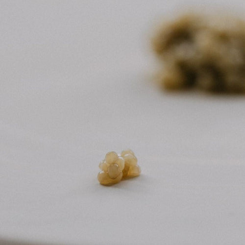 Close-up of Almas white caviar pearls — albino Huso huso, 3–3.3mm golden roe