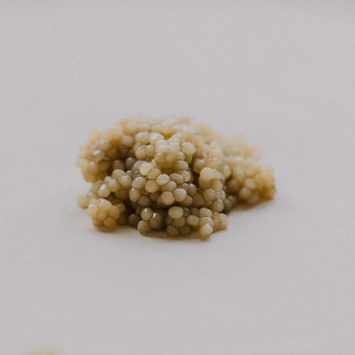 Almas caviar (albino Beluga) plated serving — rare pale golden pearls, La Caviare