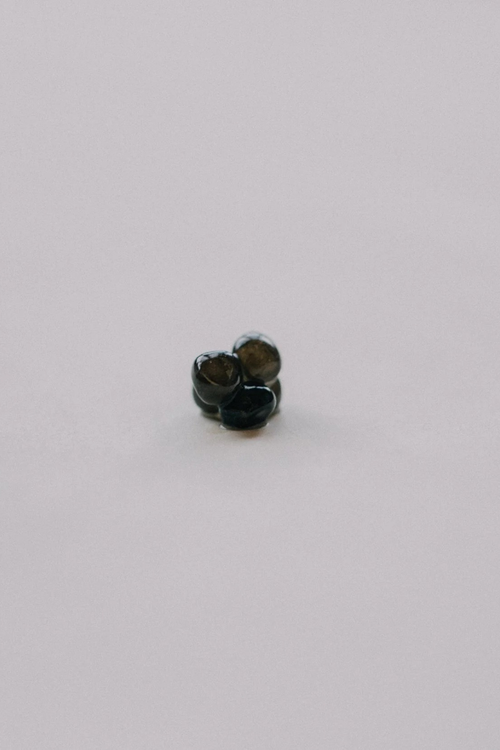 Close-up of Baerii Siberian sturgeon caviar — 2.8–3.2mm dark pearls, mineral finish