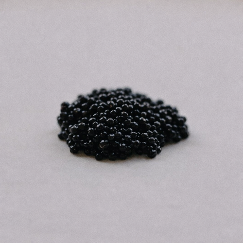 Baerii caviar (Acipenser baerii) plated serving — firm charcoal pearls, La Caviare