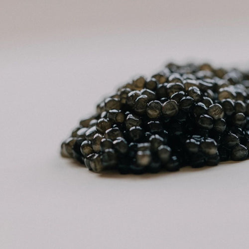 Close-up of Beluga caviar pearls showing 3.5–4mm grain size and silver-grey colour