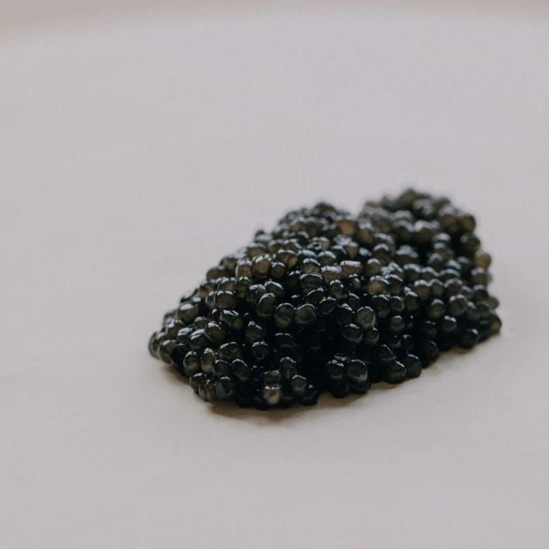 Beluga caviar (Huso huso) plated serving — large soft grey pearls, La Caviare